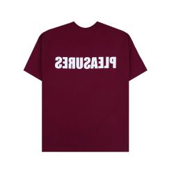 PLEASURES SECURITY T-SHIRT