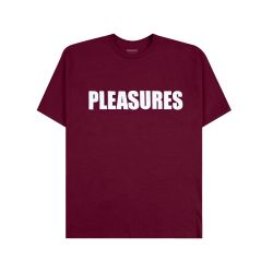 PLEASURES SECURITY T-SHIRT
