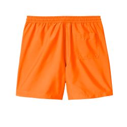Carhartt WIP Chase Swim Trunks