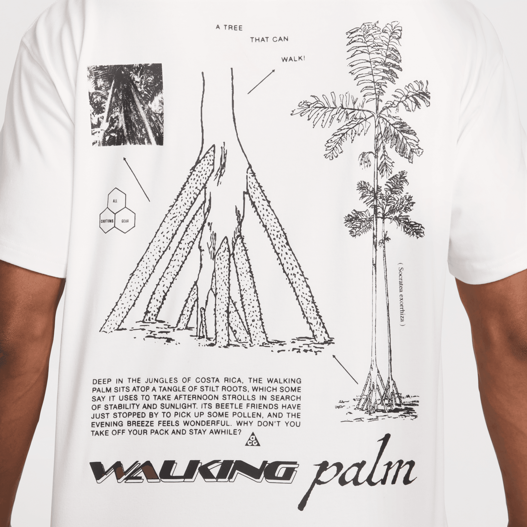 NIKE M ACG DF TEE OC WALK TREE