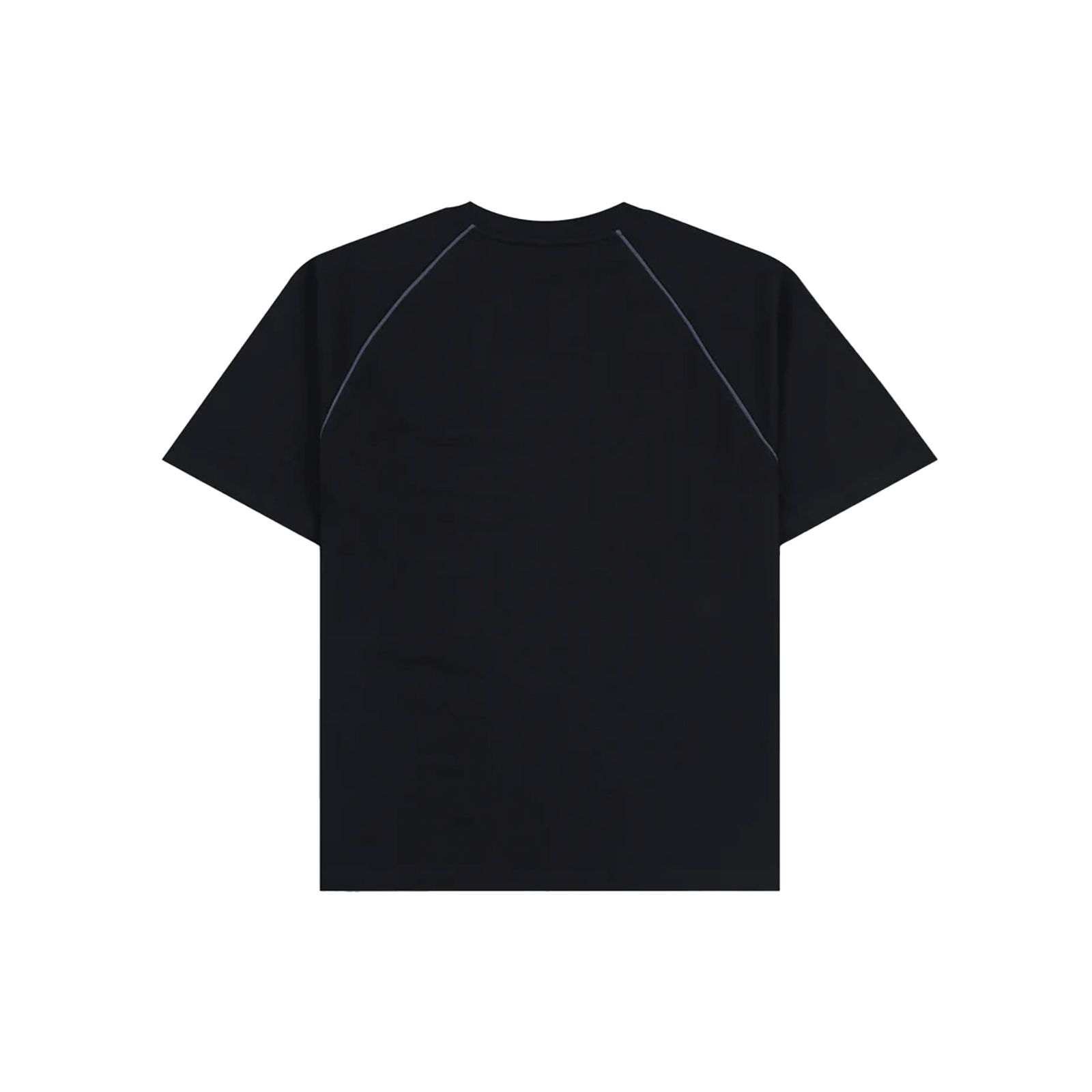 PLEASURES CRUMBLE HEAVYWEIGHT RAGLAN 