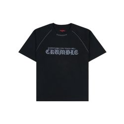 PLEASURES CRUMBLE HEAVYWEIGHT RAGLAN 