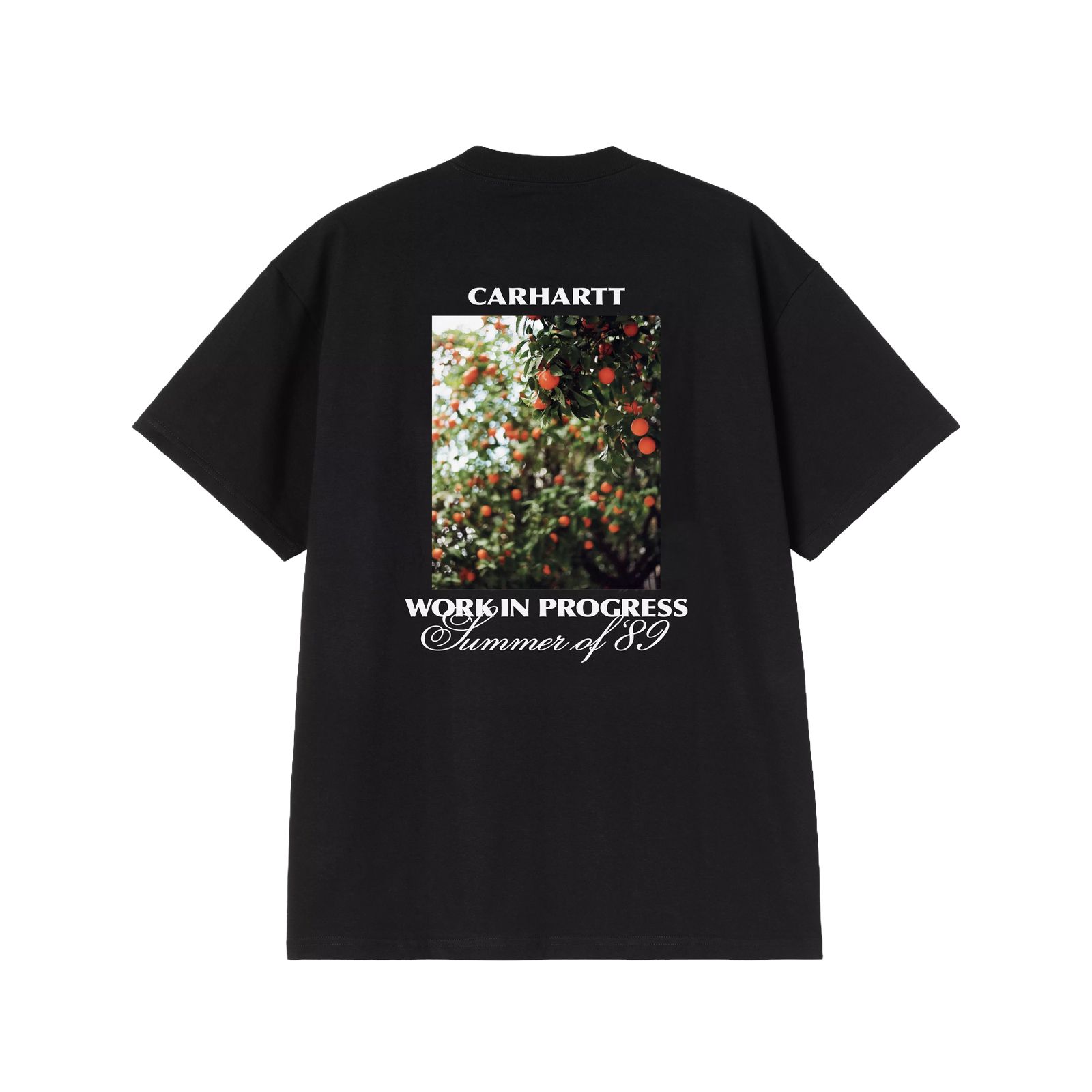 Carhartt Wip  S/S Warm Views T-Shirt