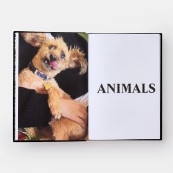PALACE PRODUCT DESCRIPTIONS